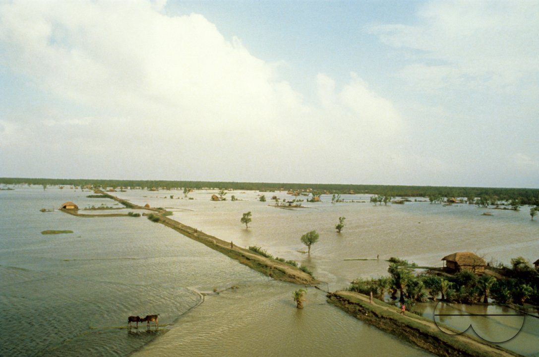 MWC004450