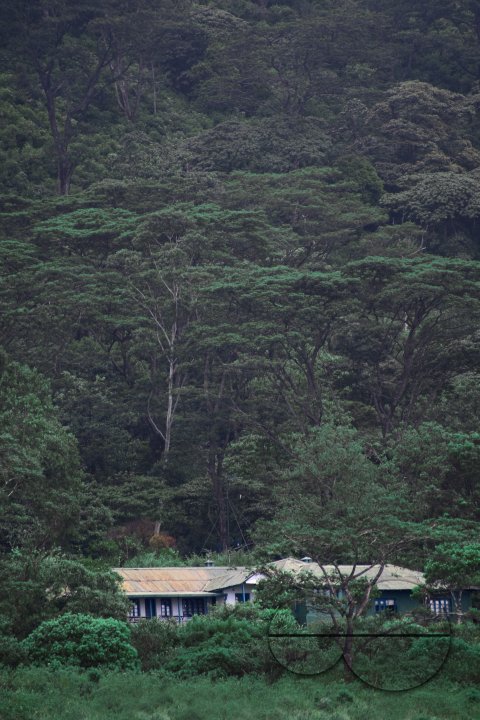 MWC031497
