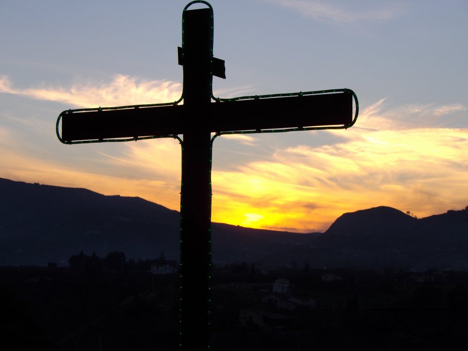 MWC036275