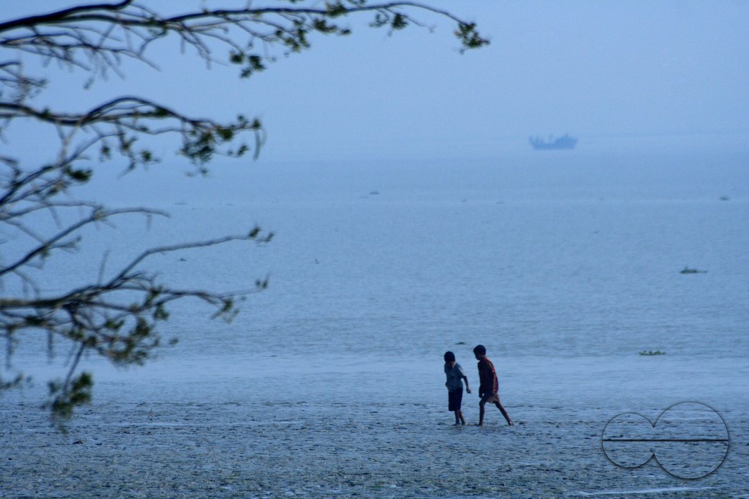 MWC012415