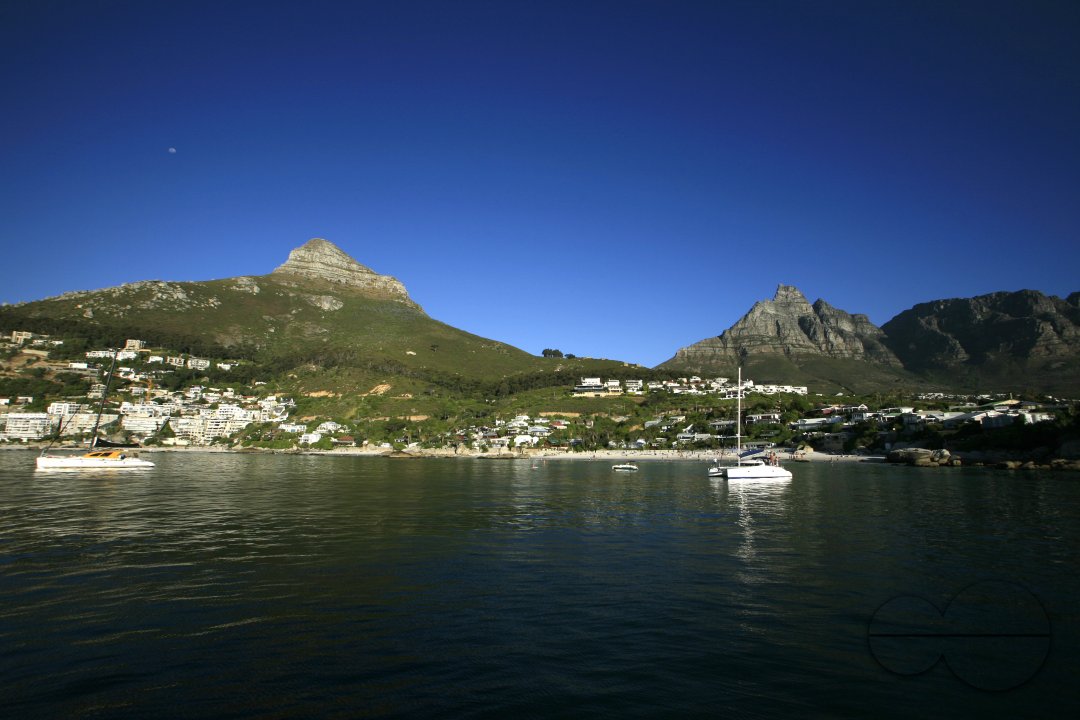 MWC022981