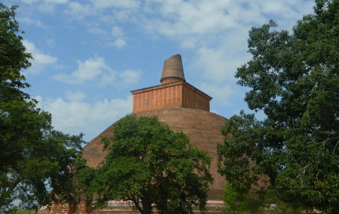 MWC052731