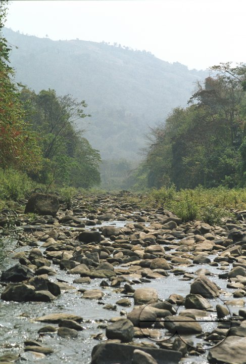 MWC004222