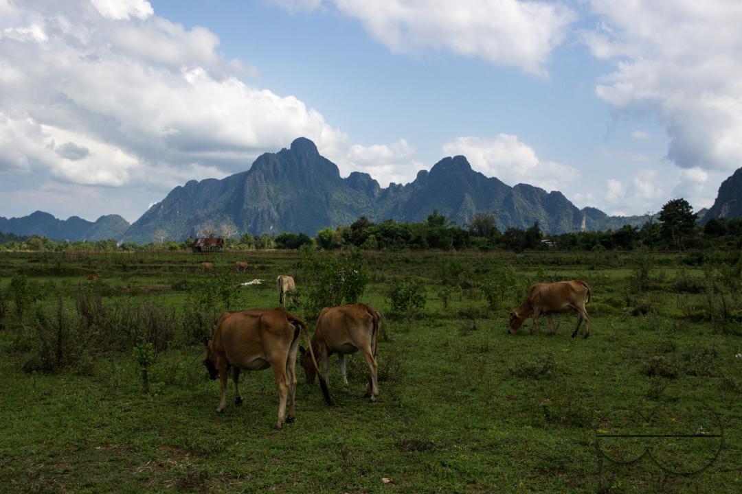 MWC051327