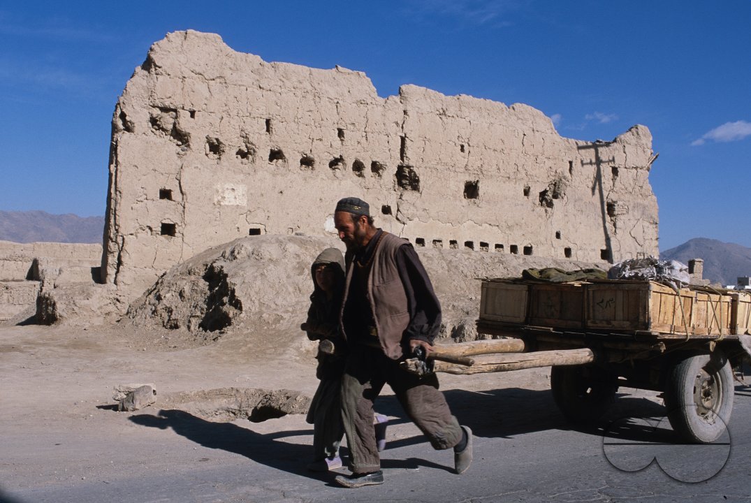 MWC009987
