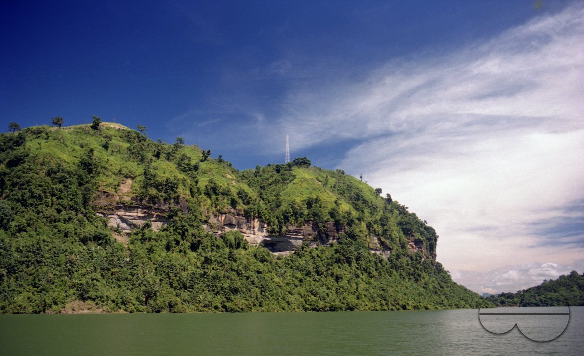 MWC003737