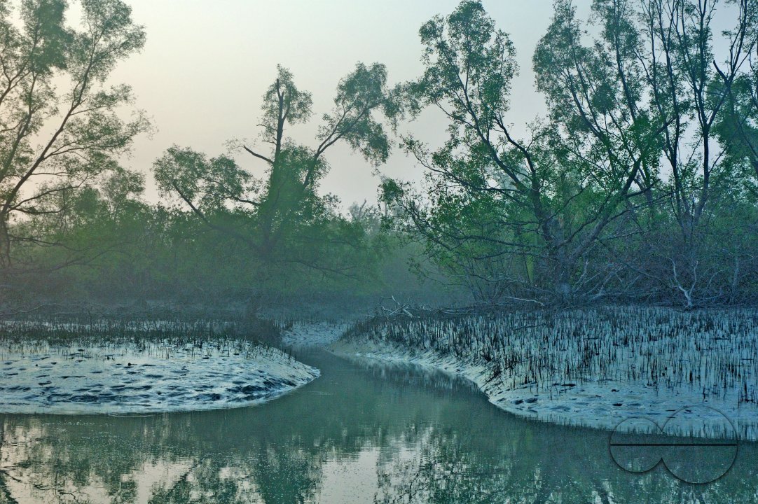 Sundarbans, Khulna, Bangladesh