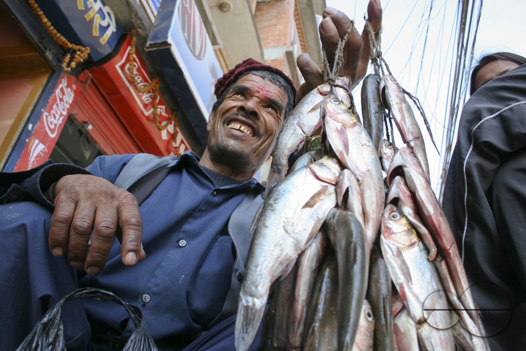 Fish Vendor