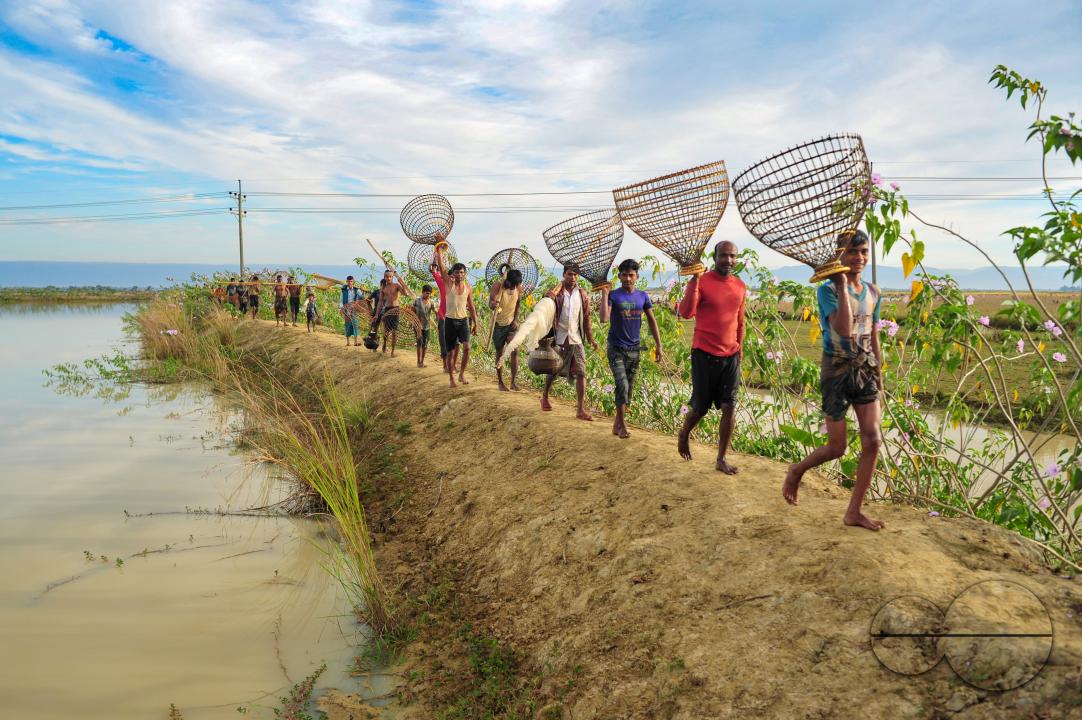 Rural people armed with Bamboo fish traps and nets take part in celebrating a 200-year winter fishing festival at the jofra beel of gasbari union of Kanaighat upazila of Sylhet, Bangladesh.