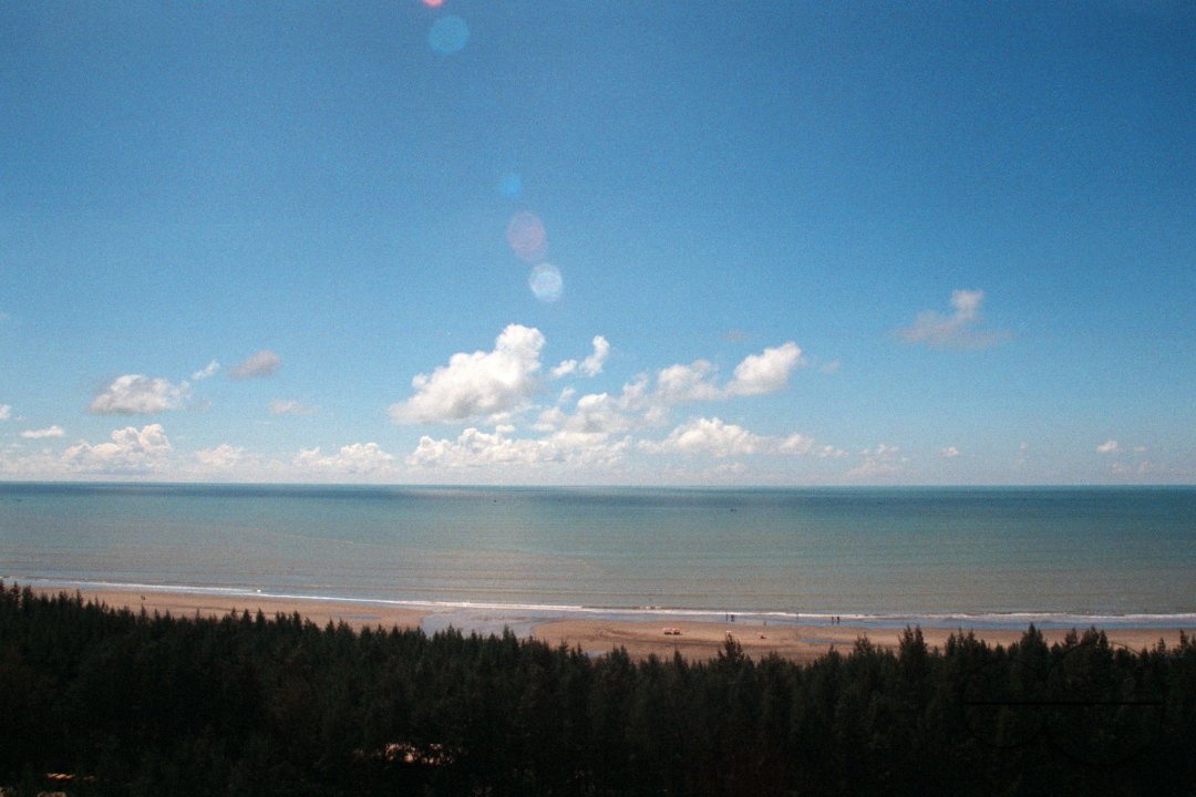 MWC004177