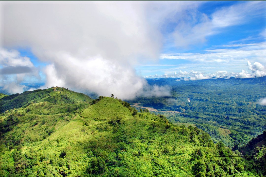 MWC004097