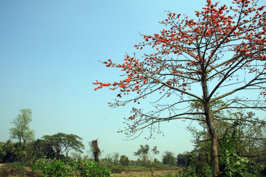 MWC020655
