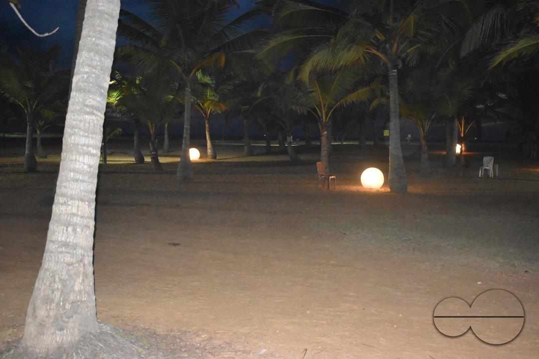 MWC051029