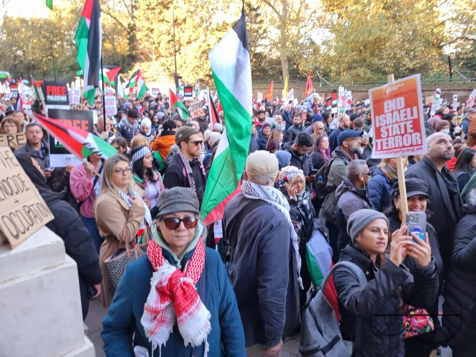 Over 300,000 Pro-Palestinians marched from Hyde Park to the USA embassy in London, on the afternoon of 11th November 2023, protesting against the war and urging an immediateÂ ceasefire