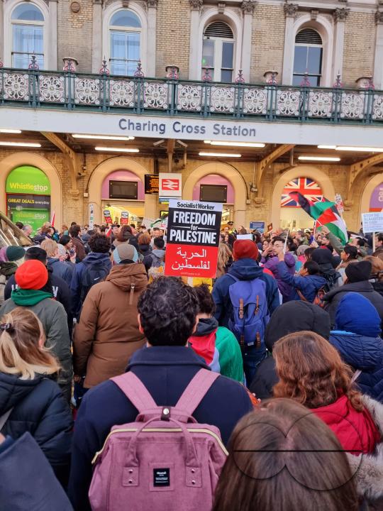 Thousands of protestors raise voices, carry placards and show their support for Palestinians, at Trafalgar Square, central London