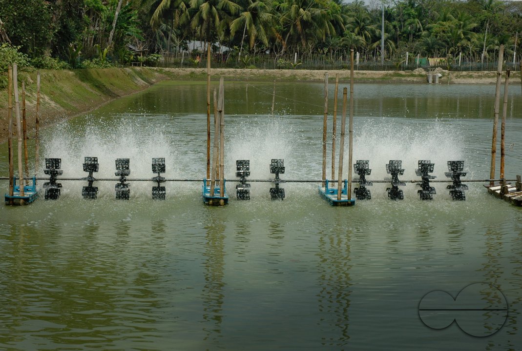 MWC02843