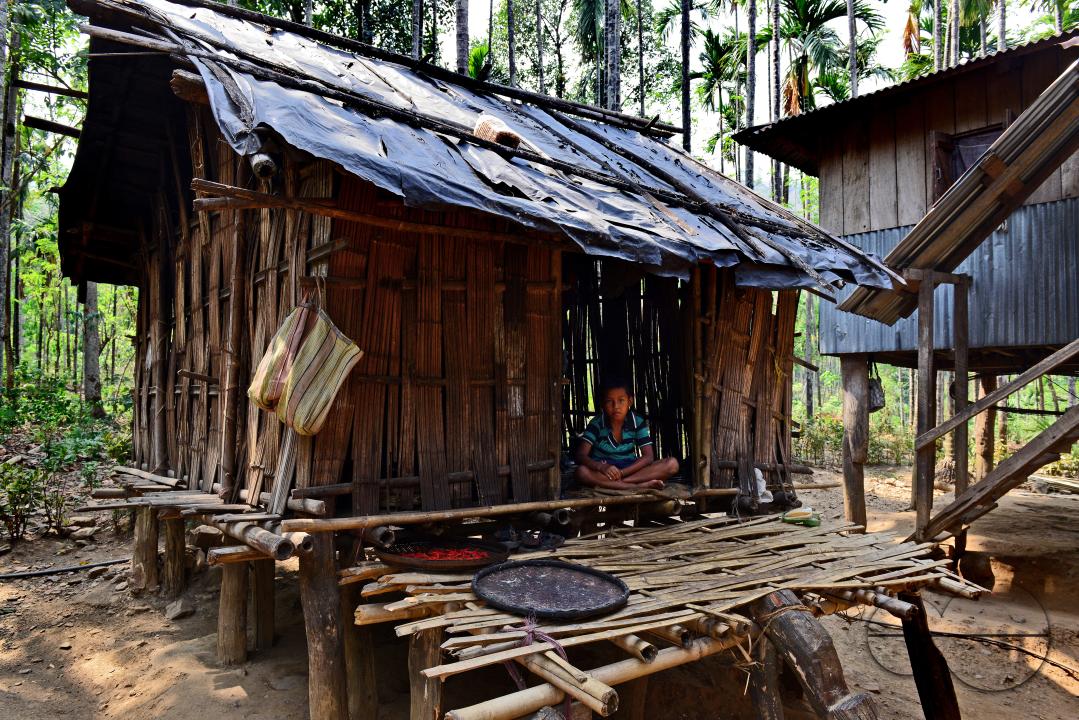 Totos are one of the most primitive communities in the world and this isolated tribal group resides only in Totopara at the foot of the Himalayas just to the borderline between West Bengal and Bhutan