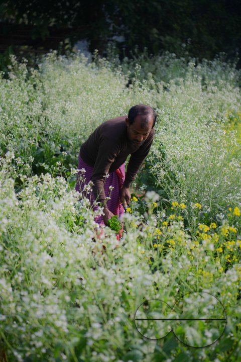 MWC035070
