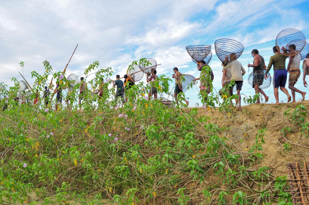 Rural people armed with Bamboo fish traps and nets take part in celebrating a 200-year winter fishing festival at the jofra beel of gasbari union of Kanaighat upazila of Sylhet, Bangladesh.
