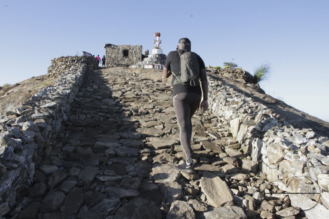 MWC041335