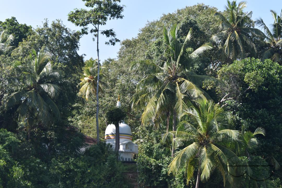 MWC051194