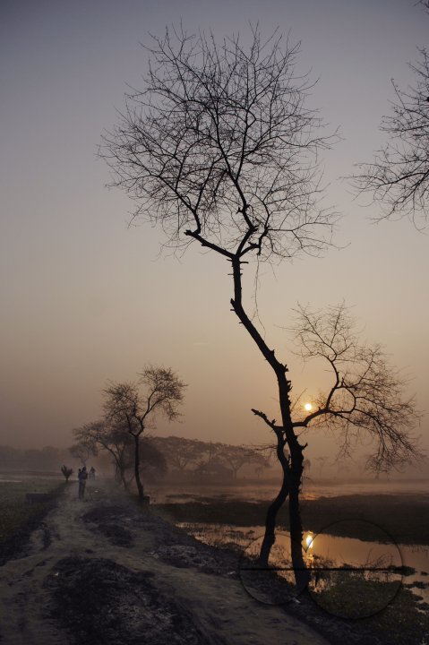 MWC011827
