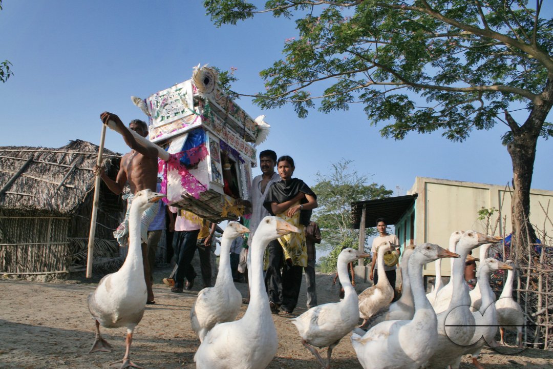 Palanquin_Bangladesh