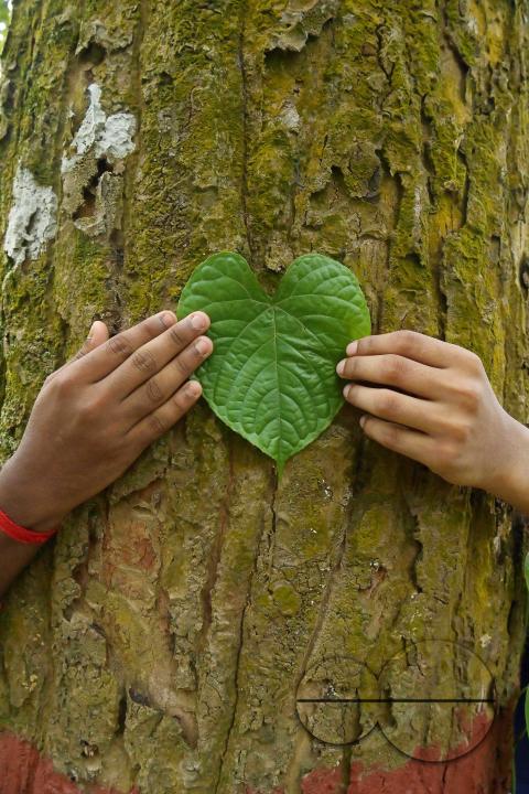NSS (National Service Scheme) volunteers and school students of Netaji Subhas Vidyaniketan hug trees on the eve of World Nature Conservation Day