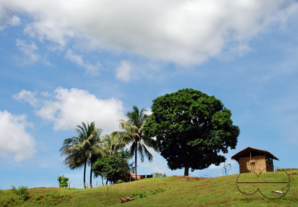 MWC004091