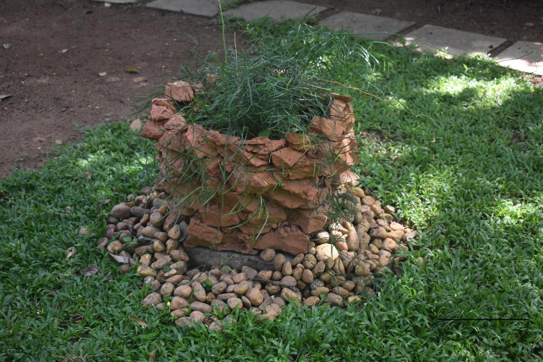 MWC049162