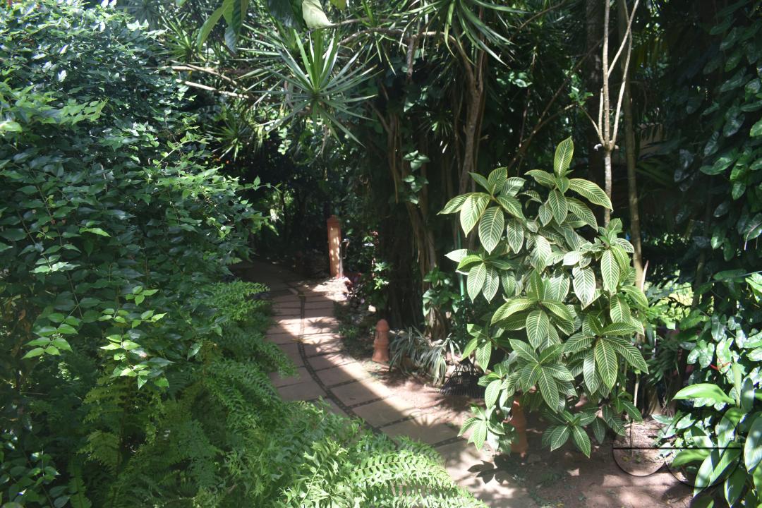 MWC049173