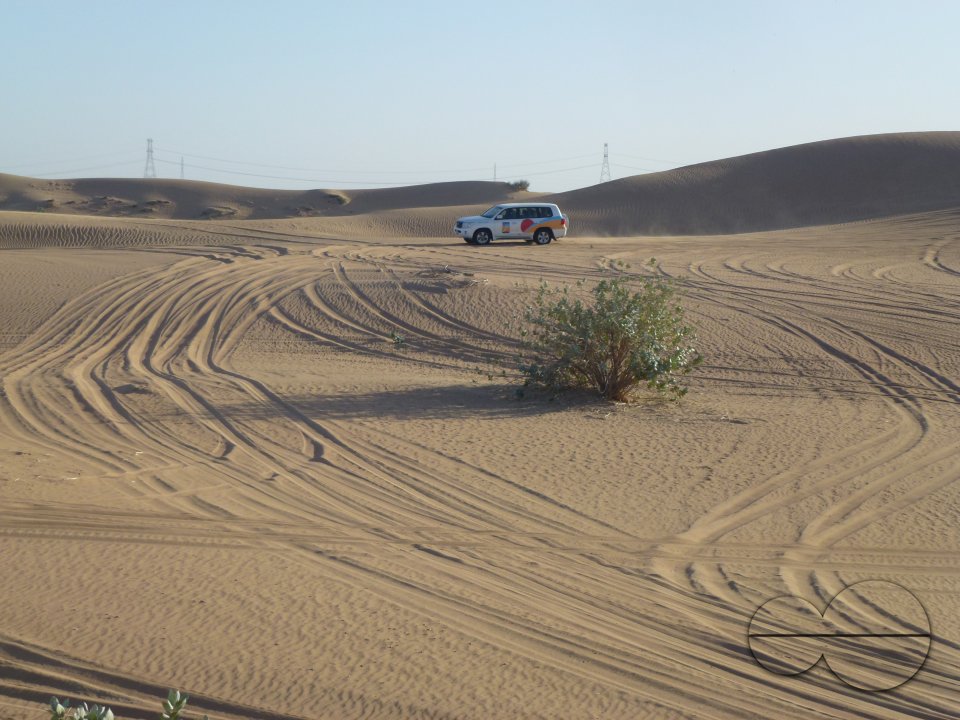 Holiday in Dubai