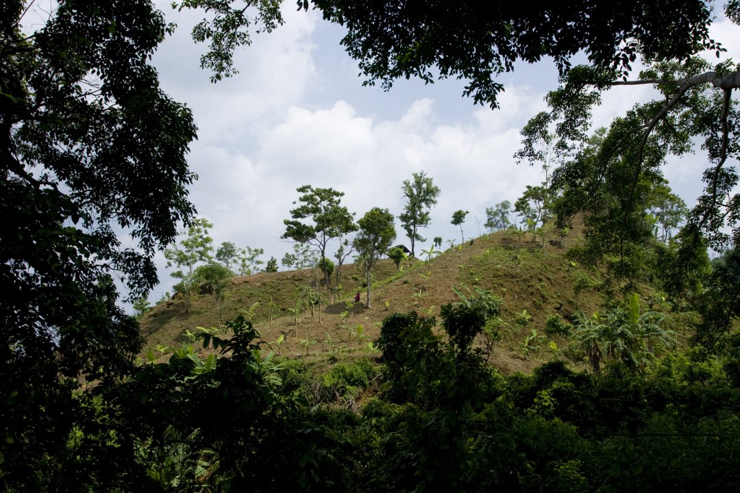 MWC003600