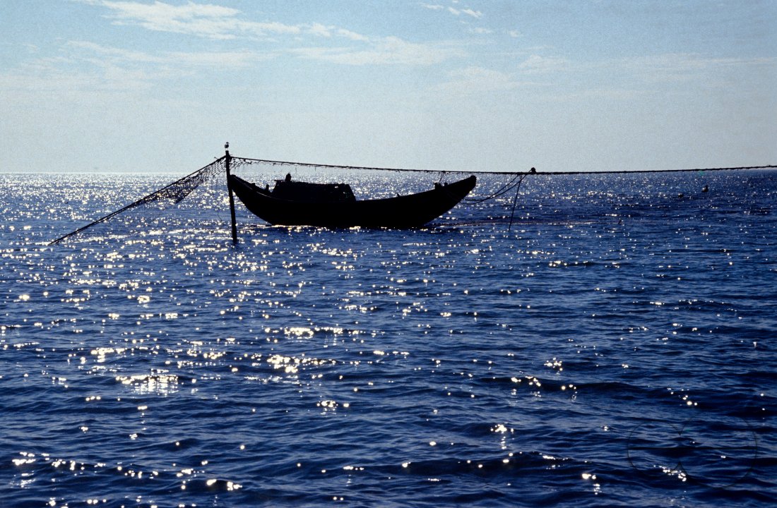 MWC02935