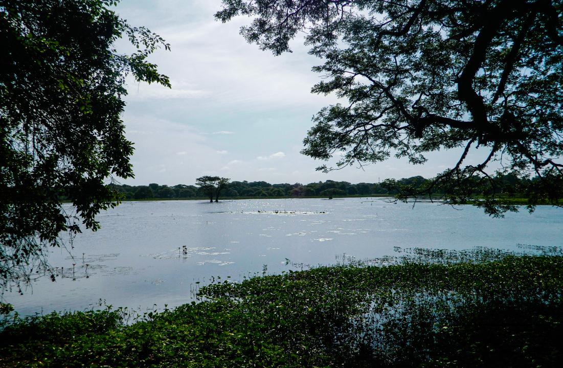 MWC052717