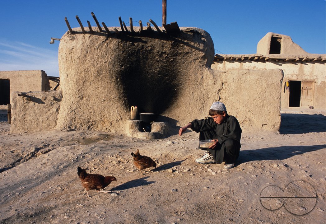 MWC009979