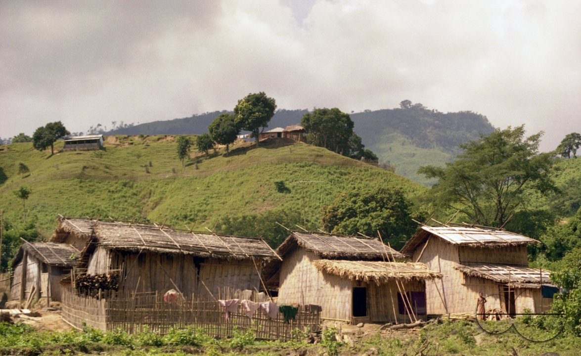 MWC010286