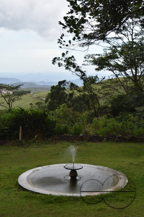 MWC031472