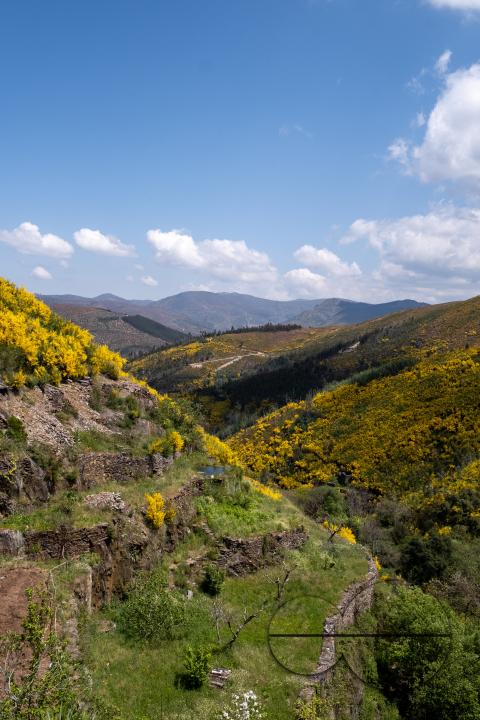 MWC053565