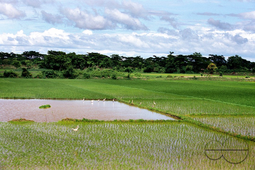 MWC03105