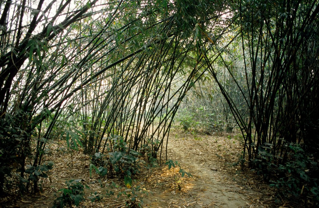 MWC03097