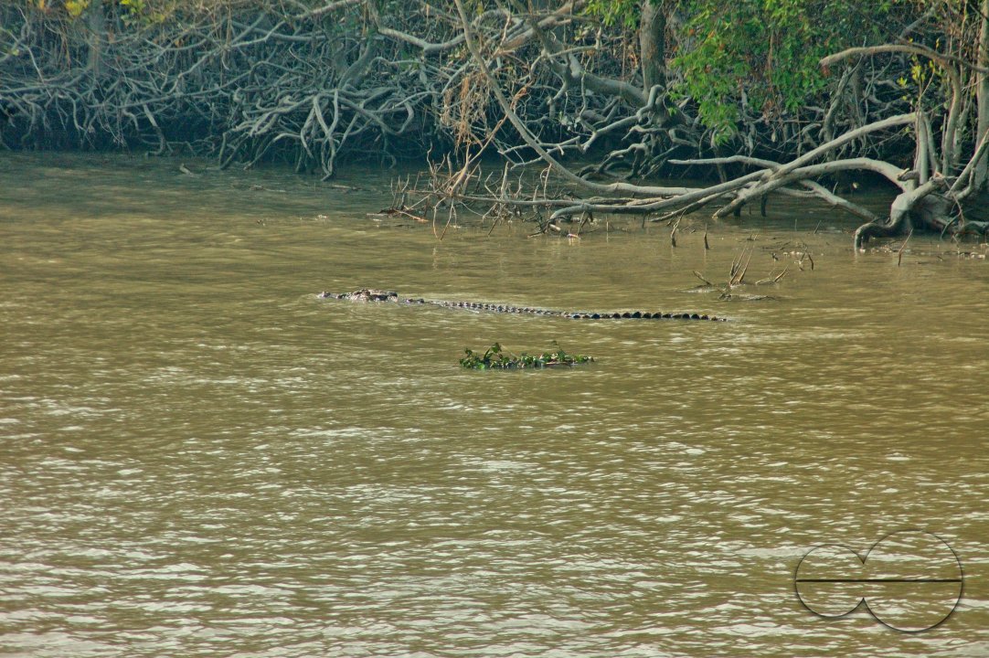 Sundarbans, Khulna, Bangladesh