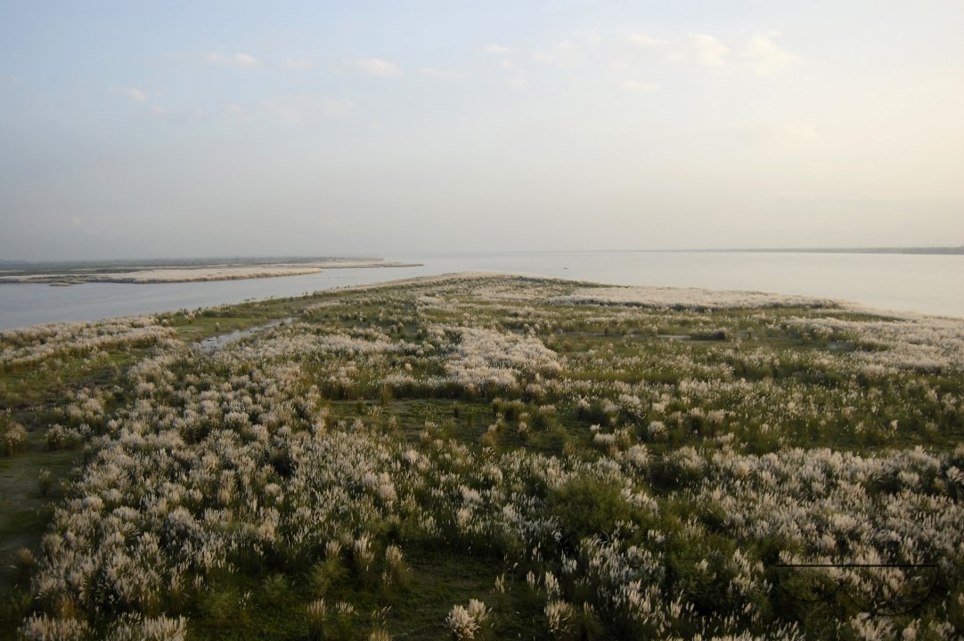 MWC021754