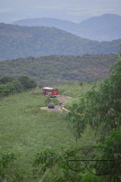 MWC031501