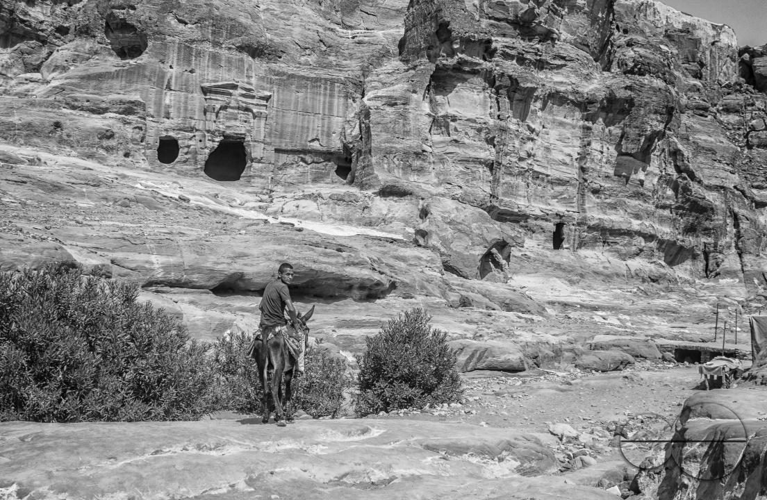 A young male riding a donkey
