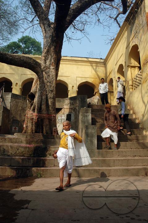 MWC059530
