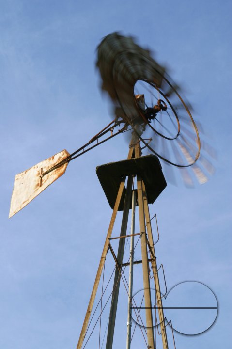 MWC004725