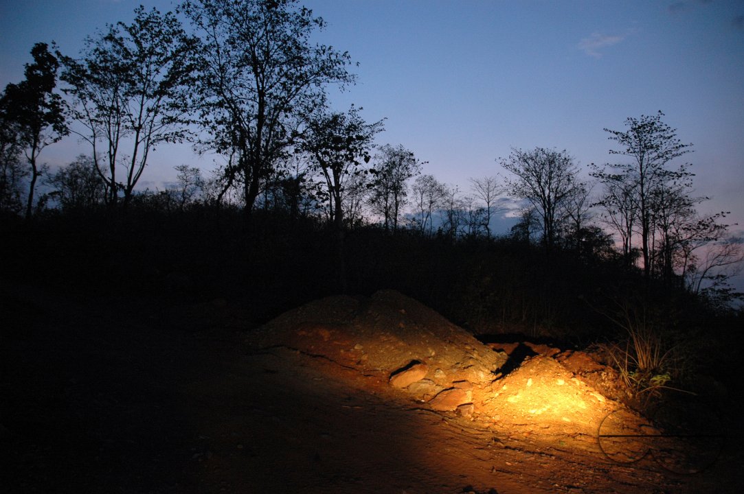 MWC024224