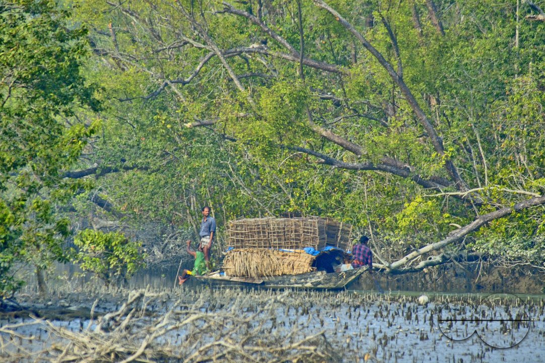 Sundarbans, Khulna, Bangladesh