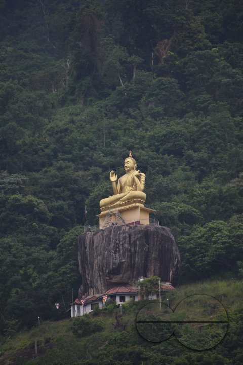 MWC031424